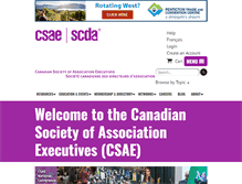 Tablet Screenshot of csae.com
